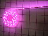 LED RGB Strip Light (5050)
