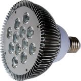 LED Bulb (RC-2424-12W)
