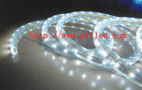LED Strip Light (GB-3528-60W/M)