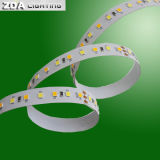 Color Tempertaure Dimmable LED Light Strip (2835 LED)