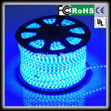 Newest Popular LED Light Strip 5050 for Hotel Outside Decorations
