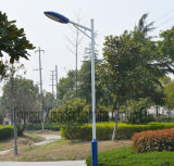 Factory Price 40W LED Street Light with Meanwell Driver and CREE Chip