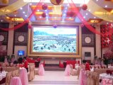 Large View Angle P10 Indoor Stage LED Display