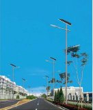 150W COB Solar LED Street Light for Highway