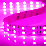 RGB SMD5050 LED Strip Lights Fitas LED LED Lights