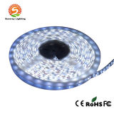 Waterproof LED Light SMD 5050 LED Strip Light