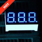 0.36 Inch 3 Digit Display Module with Blue Color