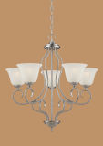 Hot Sale Chandelier with Glass Shade (525SN)