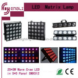 LED Matrix PAR Lamp (HL-022)