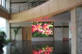 Indoor P5 Video Panel LED Display