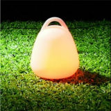 Color Changing LED Lighting/ RGB Table Lamp
