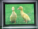 Super Slim LED Photo Frame Light Box for Advertising (CSW01-A3L-01)