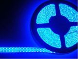 LED Flexible strip light 3528SMD Blue 240Leds/M