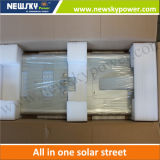 Made in China 50W Outdoor LED Solar Lights