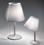 Rotatable Modern Reading Light Lamp / Table Lamp