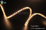 IP65 Strip LED Lights