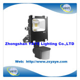 Yaye CE/RoHS Approval 10W/20W COB LED Flood Light/ LED Wall Washer/LED Projector with Warranty 2 Years (YAYE-14SD20WA)
