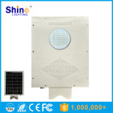 8W Solar LED Street Light with 8 Years Experience