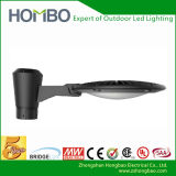 Hombo LED Garden Light/Lamp (HB-035-05-100W)