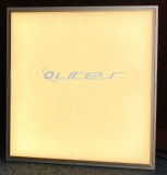 LED Panel/Ceiling Light (OL-PL-60X60-W)
