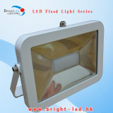 CE RoHS 30W LED Outdoor Flood Light