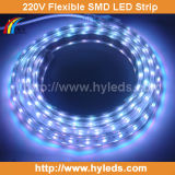 High Voltage Flexible SMD LED Strip Light (HY-HV5730-60-W)