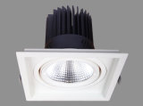 Aluminum Material LED Spotlight, 12W 24W COB LED Down Light (S-D0017)