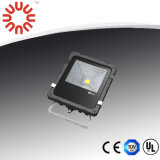 10W LED Flood Light with Meanwell Driver
