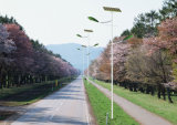 Solar Light LED Street, Solar Light New (SLD-SL-1010)