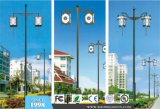 Chinese Style Outdoor LED Street Light (BDD114-116)