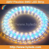 220V High Voltage Flexible SMD LED Strip Light (HY-HV3528-50-Y)