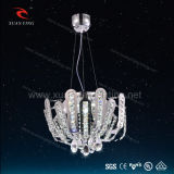 Special LED K9 Crystal Chandelier Lamp (Mv5511-24W)