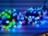 LED Christmas Lights (LED-NBSL-10M)