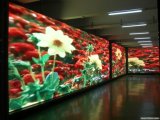 New China Hall Indoor Display Nice LED Display