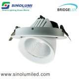 24W LED Down Light with Adjustable Downlight