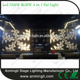 Latest Technology Warm White LED Stage Matrix Light