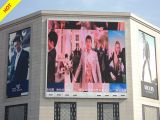 P8 Outdoor Full Color LED Display (256X128mm)