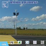 Highly Recommended Wind Solar Hybrid LED Street Light (BDTYN01)