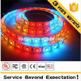 China Supplier Flexible LED 3528 Strip Lights