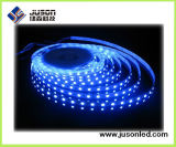 OEM/ODM Available LED Flexible Strip Light SMD3528 LED Strip