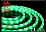 Flexible LED Light