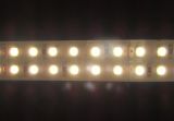 3528 LED Strip Light, 240LED/M