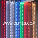 LED Strip/Flexible LED Strip/LED Strip Light
