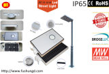 8W Integrated Solar LED Street Light with Garden