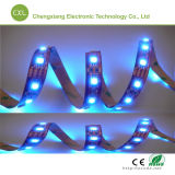 SMD LED Strip Light DC12V 30LEDs/M