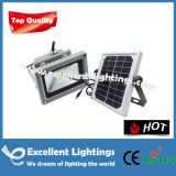 Different Lamps Colors LED Outdoor Flood Light 120V