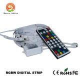 Digital Addressable LED Strip Light with RGBW LEDs (SW-RGBW-5050)