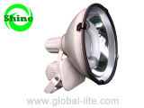 Induction Flood Lights with Induction Lamp (FL-3102)