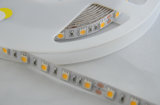 Latest Product SMD5050 LED Strip with High Lumen