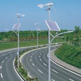 Wsbr102 70W Solar/Wind Hybrid LED Street Solar Light